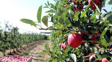 Presentan una nueva edición del Programa de Fomento a la Fruticultura