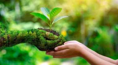 Día del Medio Ambiente: cuáles son los municipios más sustentables de la Provincia