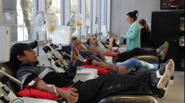 Provincia hizo 15 colectas de sangre: cómo donar y qué requisitos hay