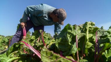 Productores de la agricultura familiar recibirán tierras estatales