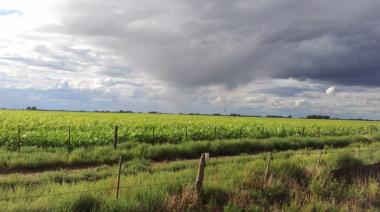 Se esperan fuertes vientos en el sur bonaerense
