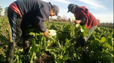 Darán 600 mil pesos a productores del cordón frutihortícola afectados por el temporal