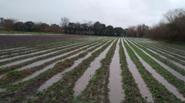 Productores frutihortícolas de La Plata, Florencio Varela y Berazategui afectados por temporal recibirán ayuda económica
