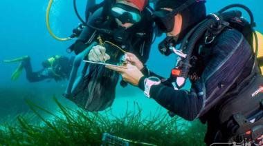 Llega la primera edición de las Olimpíadas de Ciencia del Mar a Bahía Blanca