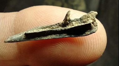 Hallaron fósiles de sapos, ranas y escuerzos de antiguos pantanos en San Pedro
