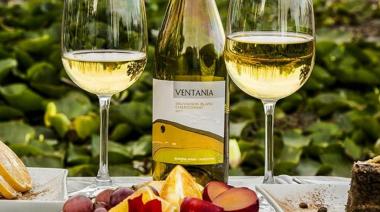 Bodegas bonaerenses: ¿en qué distritos de la provincia se pueden visitar?