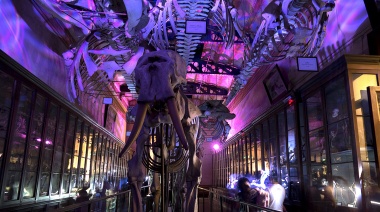 La Plata se prepara para una nueva edición de Museos a la Luz de la Luna con 40 espacios culturales