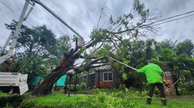 Pilar: Fuerte respuesta del Municipio frente al temporal