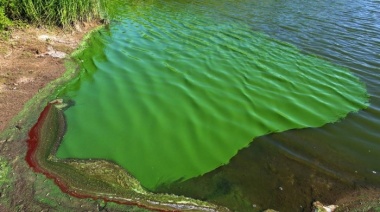 Continúa el monitoreo de cianobacterias: alerta roja en dos municipios