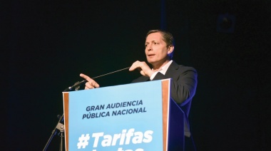 Gray presentó una acción de amparo para suspender la audiencia pública por la tarifa del gas