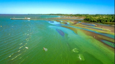 Laguna de Lobos: emiten alerta roja por la presencia de cianobacterias