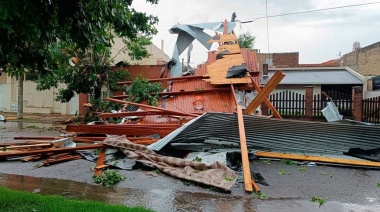 Temporal en Miramar: barrios sin luz, árboles caídos y estructuras dañadas 