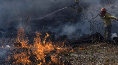 Advierten que en Mar del Plata hay alto riesgo de incendios forestales este fin de semana