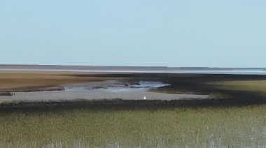 Derrame de petróleo en Bahía Blanca y Coronel Rosales: la Provincia suspendió operaciones de la empresa