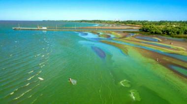 Alerta roja por presencia de cianobacterias en lagunas y ríos de la provincia de Buenos Aires