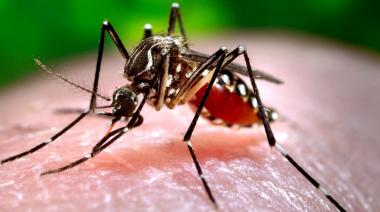 Confirman brotes de dengue en 17 municipios