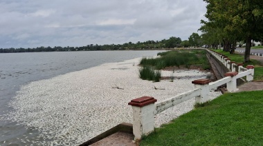 Aparecieron cientos de peces muertos en la laguna de San Miguel del Monte