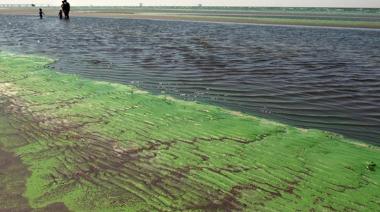 Cianobacterias: cinco lagunas bonaerenses en alerta “roja”