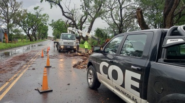 Temporal en San Nicolás: causó destrozos, dejó miles de personas sin luz y arrasó con Expoagro