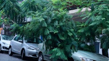 AMBA: calles inundadas, árboles caídos y vuelos desviados por el temporal