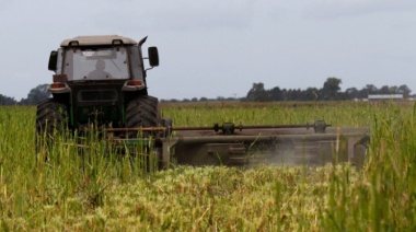Provincia lanzó nuevas medidas para el sector agropecuario