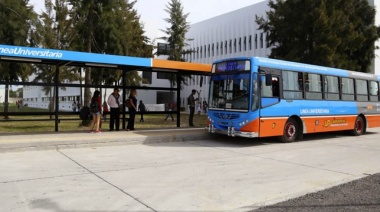 La Línea Universitaria de Micros de la UNLP aumenta un 20% la frecuencia de sus servicios