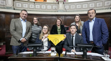 Media sanción para el proyecto clave que declara el 14 de marzo como el Día de la Endometriosis