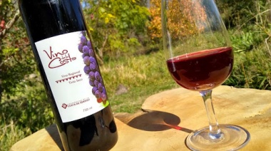 Comienza una nueva edición de la Fiesta del Vino de la Costa