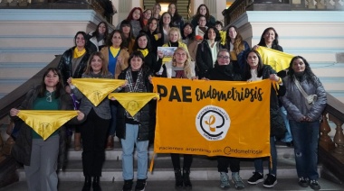 En qué consiste la ley de Endometriosis aprobada en la Legislatura bonaerense