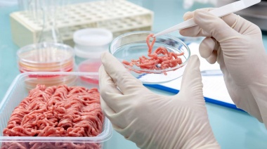Triquinosis: se registraron cuatro brotes en la provincia en lo que va del año