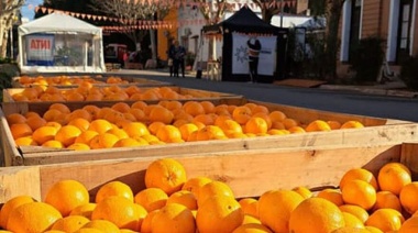 Ultiman los detalles para la sexta edición de la Fiesta de la Naranja de Ombligo