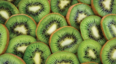 Llega una nueva edición de la Fiesta del Kiwi a Miramar