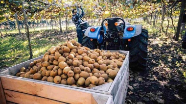 Miramar contará con una biofábrica para impulsar el cultivo de kiwi