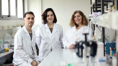 Descubren tres mutaciones de mosquitos del dengue en el conurbano más resistentes a los insecticidas