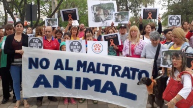 Diputados le dio media sanción al Proyecto de Ley que repudia el maltrato animal