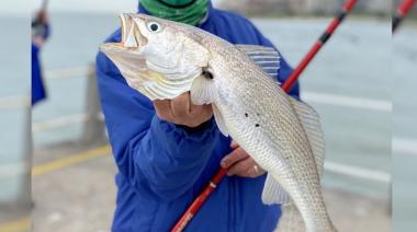 Se viene la 14 edición de la Fiesta de la Pescadilla en Pinamar
