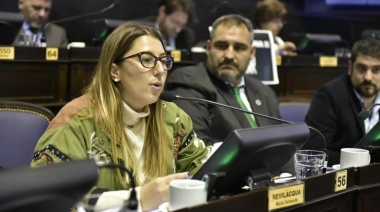 Diputada de Unión por la Patria presentó un proyecto de Boleta Única y busca su tratamiento en Provincia