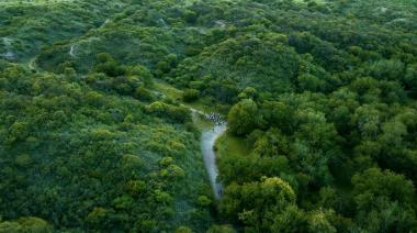 La provincia busca frenar la eliminación del Fondo que protege a los Bosques Nativos
