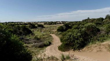 El rincón natural ideal para descansar en la Costa Atlántica