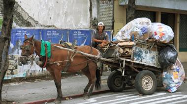 Buscan prohibir la tracción a sangre para el transporte y la recolección en las ciudades