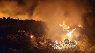 Incendio forestal en Tandil: los bomberos lograron contener las llamas