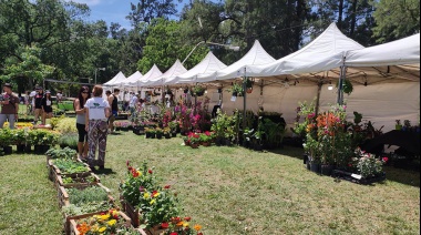 Finde a pura fiesta: qué hacer en la Provincia del 6 al 13 de marzo