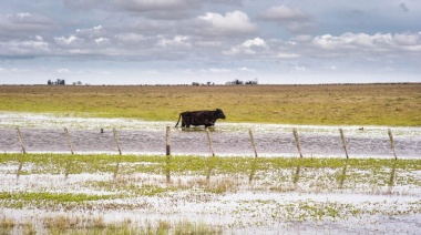 Casi 2 millones de hectáreas bajo el agua en la provincia: las pérdidas son “muchísimas”