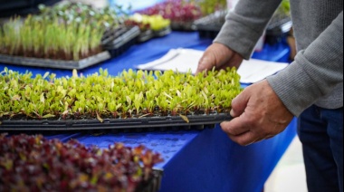 Desarrollo Agrario presentó la edición 2025 del programa Huerta Urbana Bonaerense