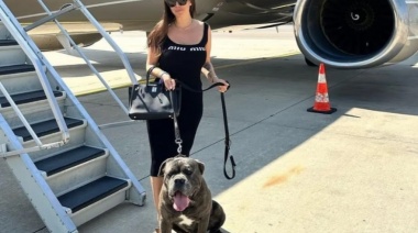 Larreta apoyó el pedido de Wanda Nara para que las mascotas puedan ingresar a todos lados