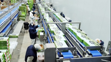 "Nos quedamos todos sin trabajo”: despidieron a 40 trabajadores de un histórico frigorífico de Azul