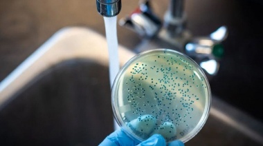 Qué es la Fiebre tifoidea, la enfermedad infecciosa que se detectó en Tres de Febrero con 17 casos confirmados
