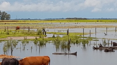 Doce municipios bonaerenses serán declarados en emergencia agropecuaria por exceso hídrico