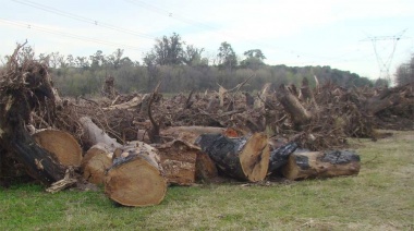 Denuncian desmonte en estancia histórica de Cañuelas para construir barrios de lujo
