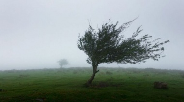 La semana arrancó con mucho frío y alertas por viento para gran parte de la provincia